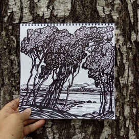 Алтайский альбом.