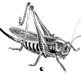 Кузнечик
