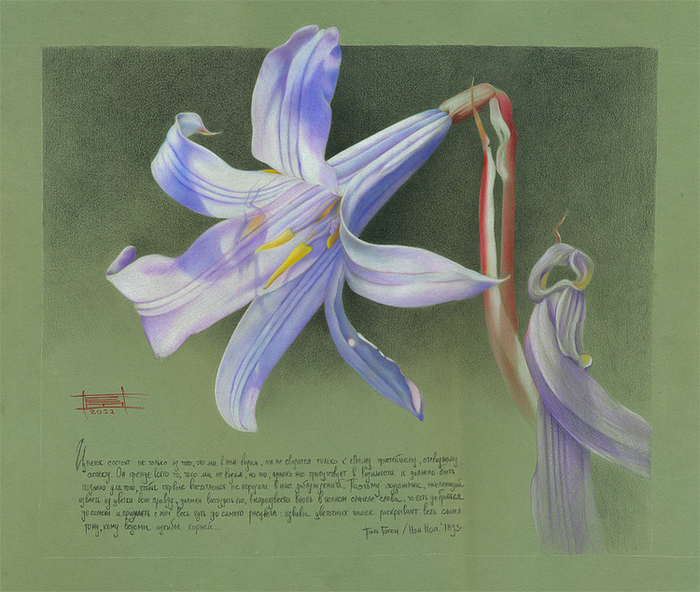 Из серии "Цветы"