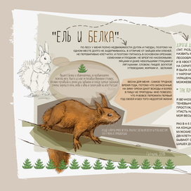 Ель и Белка