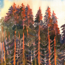 Акварели. Лето 2020