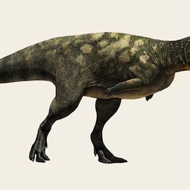 Eoabelisaurus (Эоабелизавр)