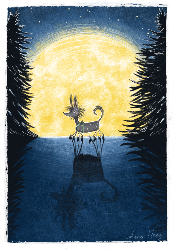 Ночная прогулка любимой собаки