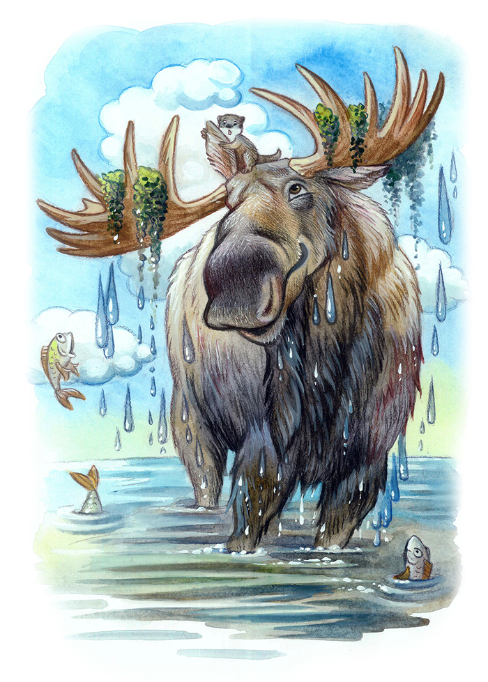 книга о выдрах и лосе.