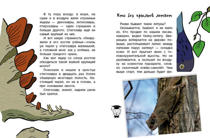 Кто без крыльев живет_21