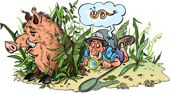 обложка для книги