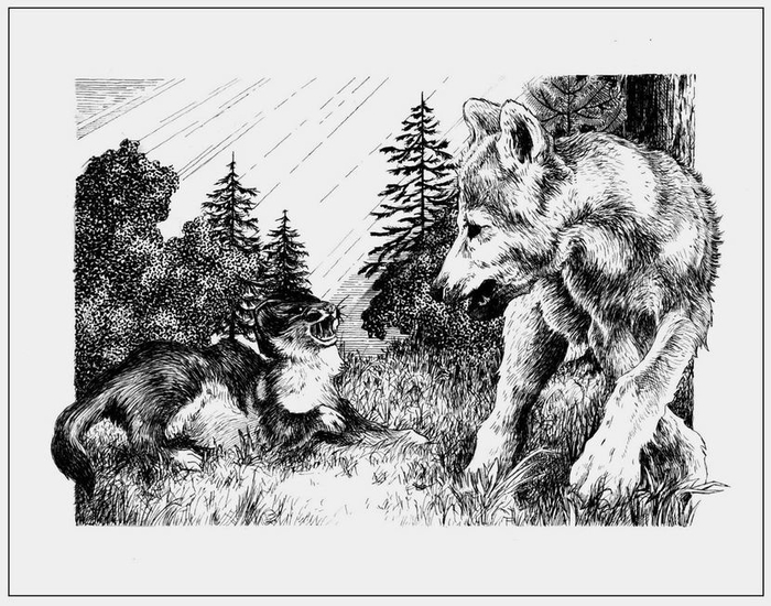 Стена мира. Ласка