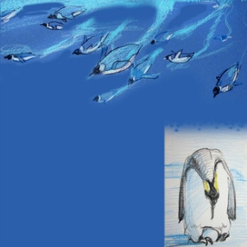 Серия работ: О пингвинах