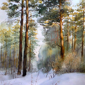 Солнечный лес в феврале 2