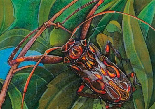 Жук - арлекин