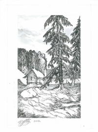 Странный камень.