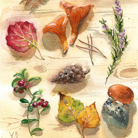 Гостинцы из леса