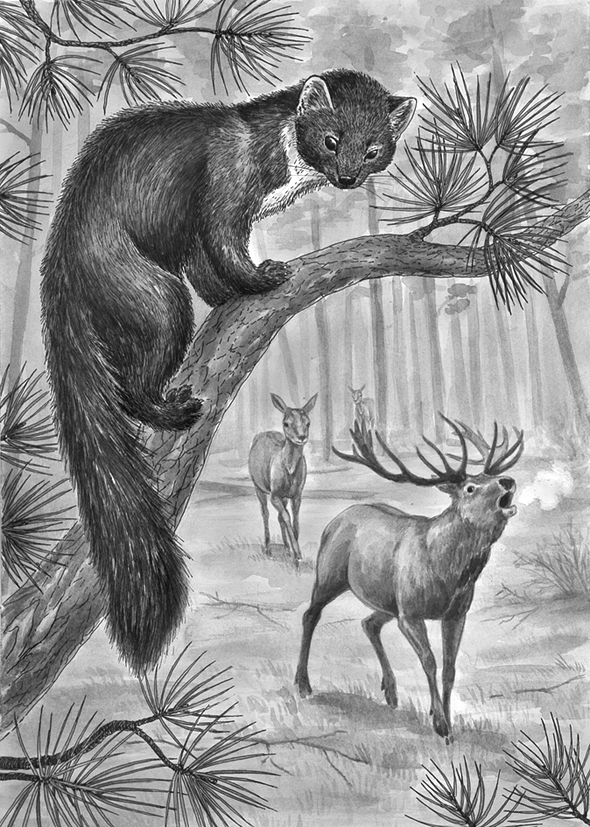 И кто там так орет?