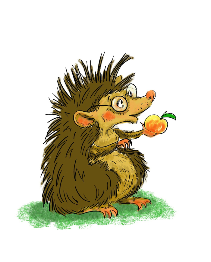 Ёжик 