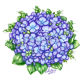 Иллюстрация для принтов- "Гортензия" 
