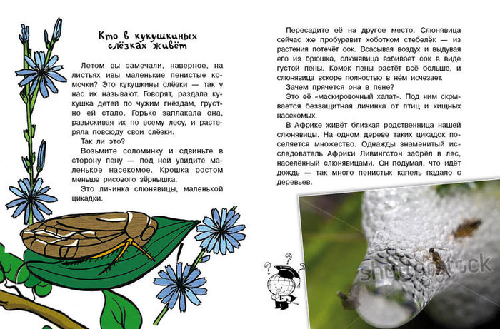 Кто без крыльев живет_04