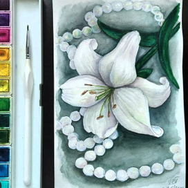 Жемчужная лилия 