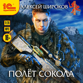 Алексей Широков "Полёт сокола"