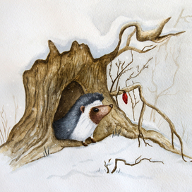 О любопытстве ёжиков