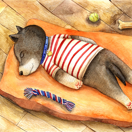 Спящий щенок