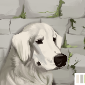 Каменная стена