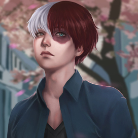 Тодороки Шото