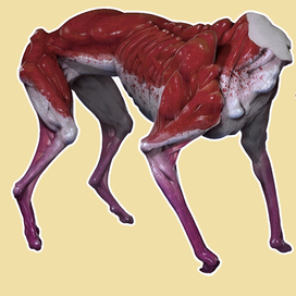 Пэинт скетча добермана