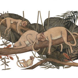 Орден желтого дятла