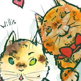 Willis and Gillis