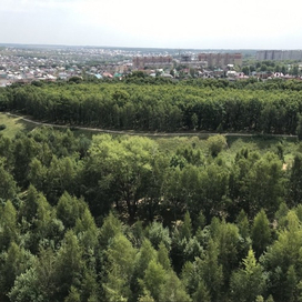 Ноксинский Лес Восток