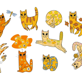 Солнечные котики