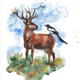 День рождения Мороза