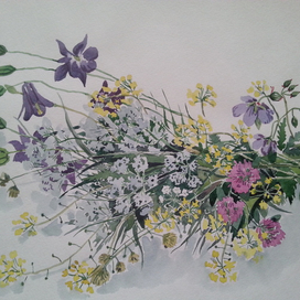 Полевые цветы