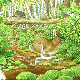 Перекрёстки жизни.