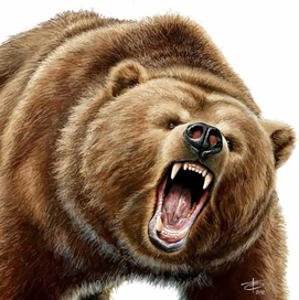 Неадекватный медведь