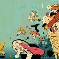 в журнал «Московские торги»