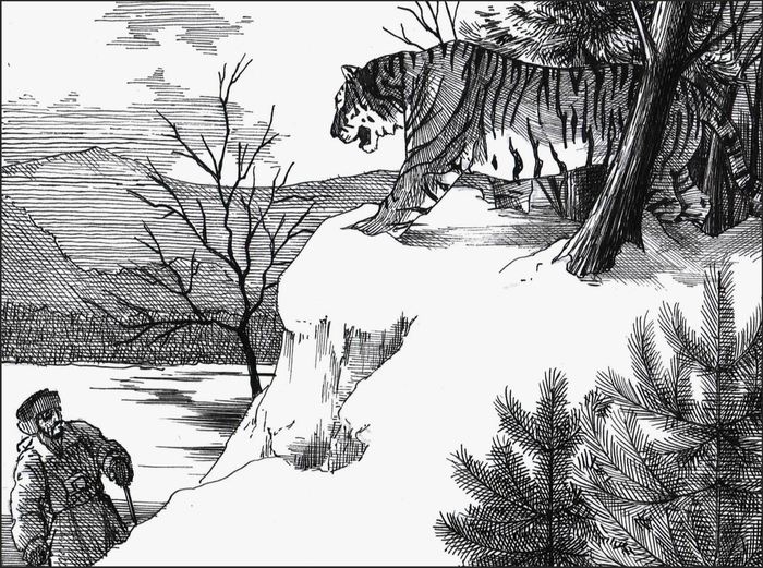 Встреча с тигром