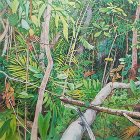 Сквозь лесные завалы