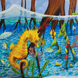 Морской конек.