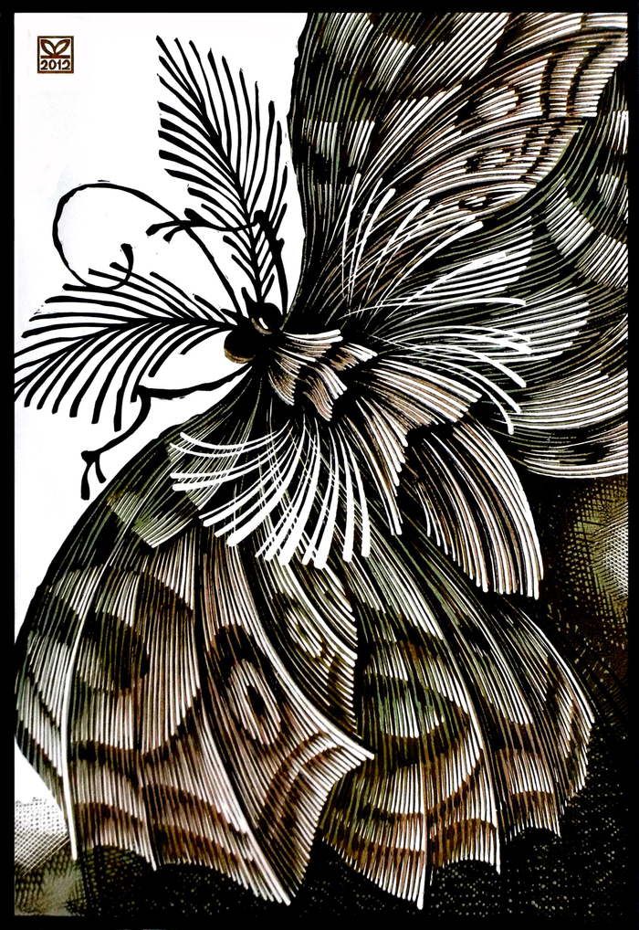 Бабочка болотная