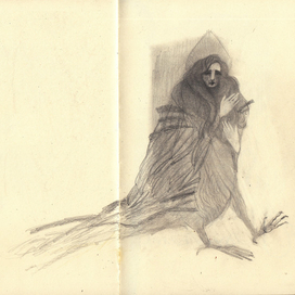 птице крылья продуло 