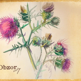 Чертополох