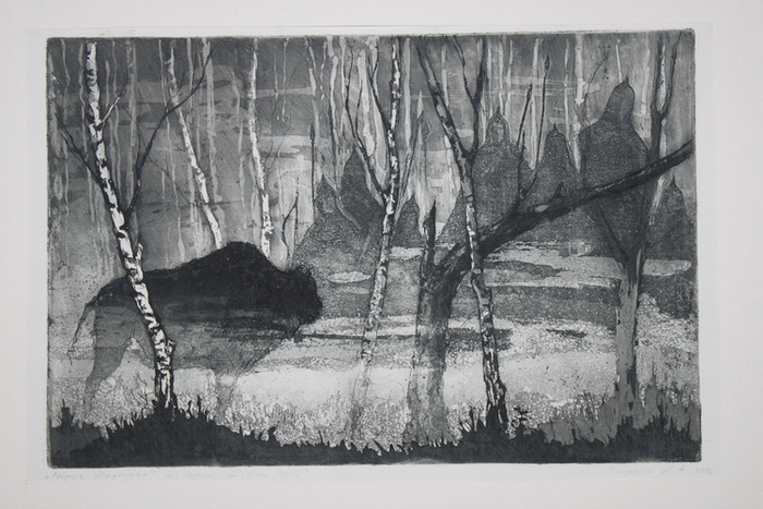 Лесная дружина