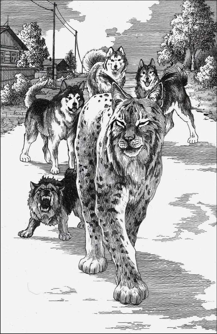 Последний путь