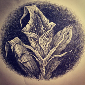 alternative herbarium