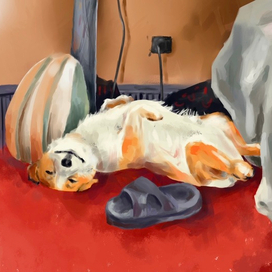 Ленивая собака