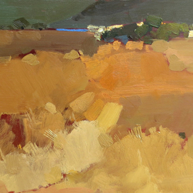 Пшеничное поле