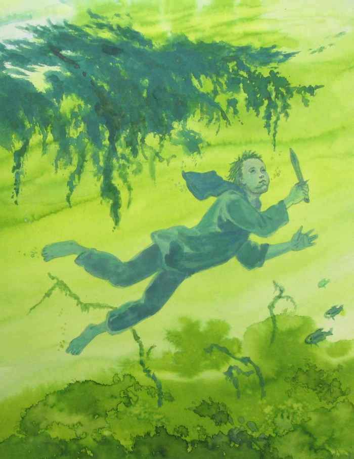 Луи Буссенар "Кругосветное путешествие юного парижанина" 10