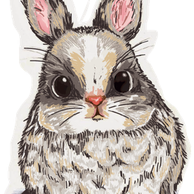 кролик мультяшный