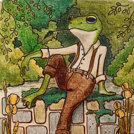 Мистер Лягух